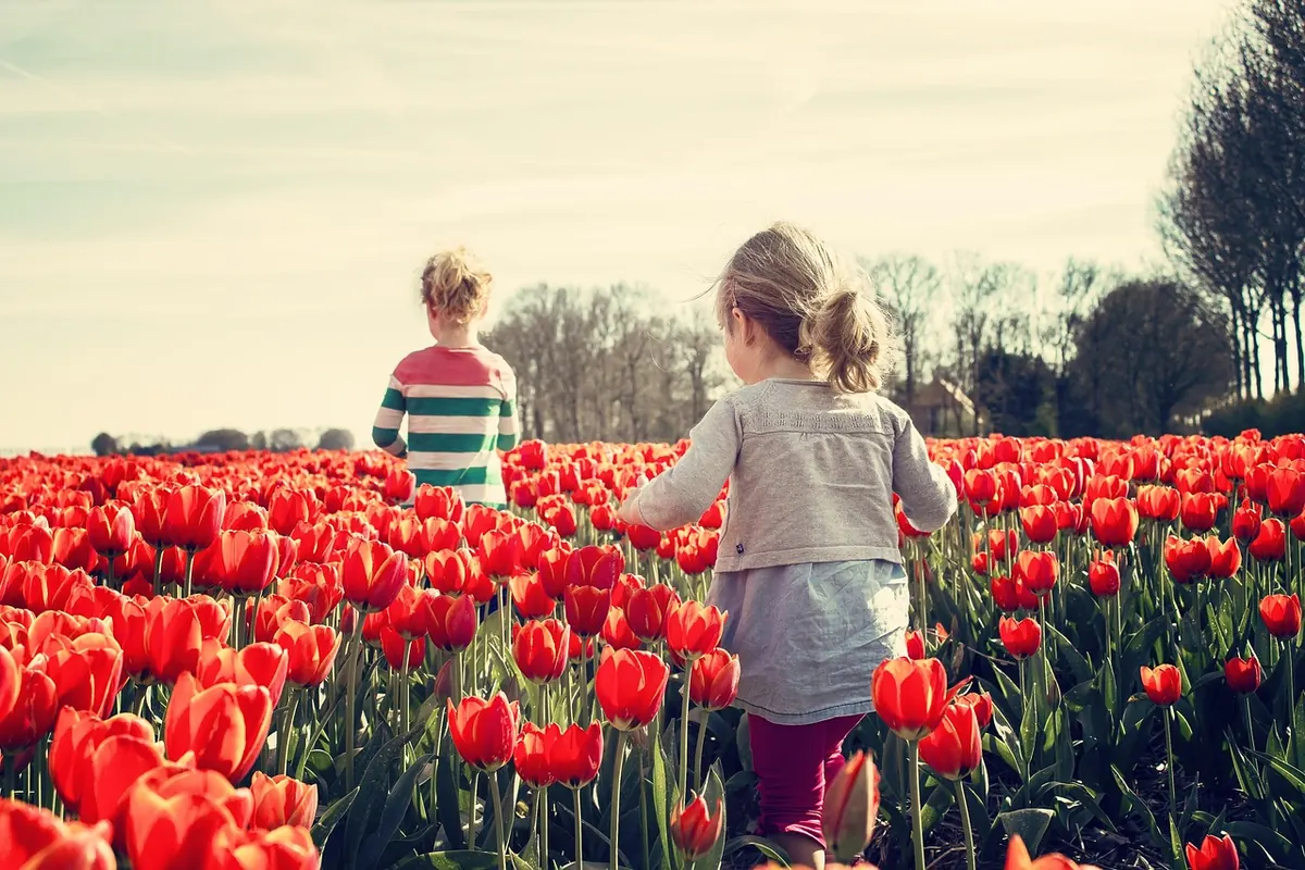 Tulip Diseases and Pests: A UK Troubleshooting Checklist