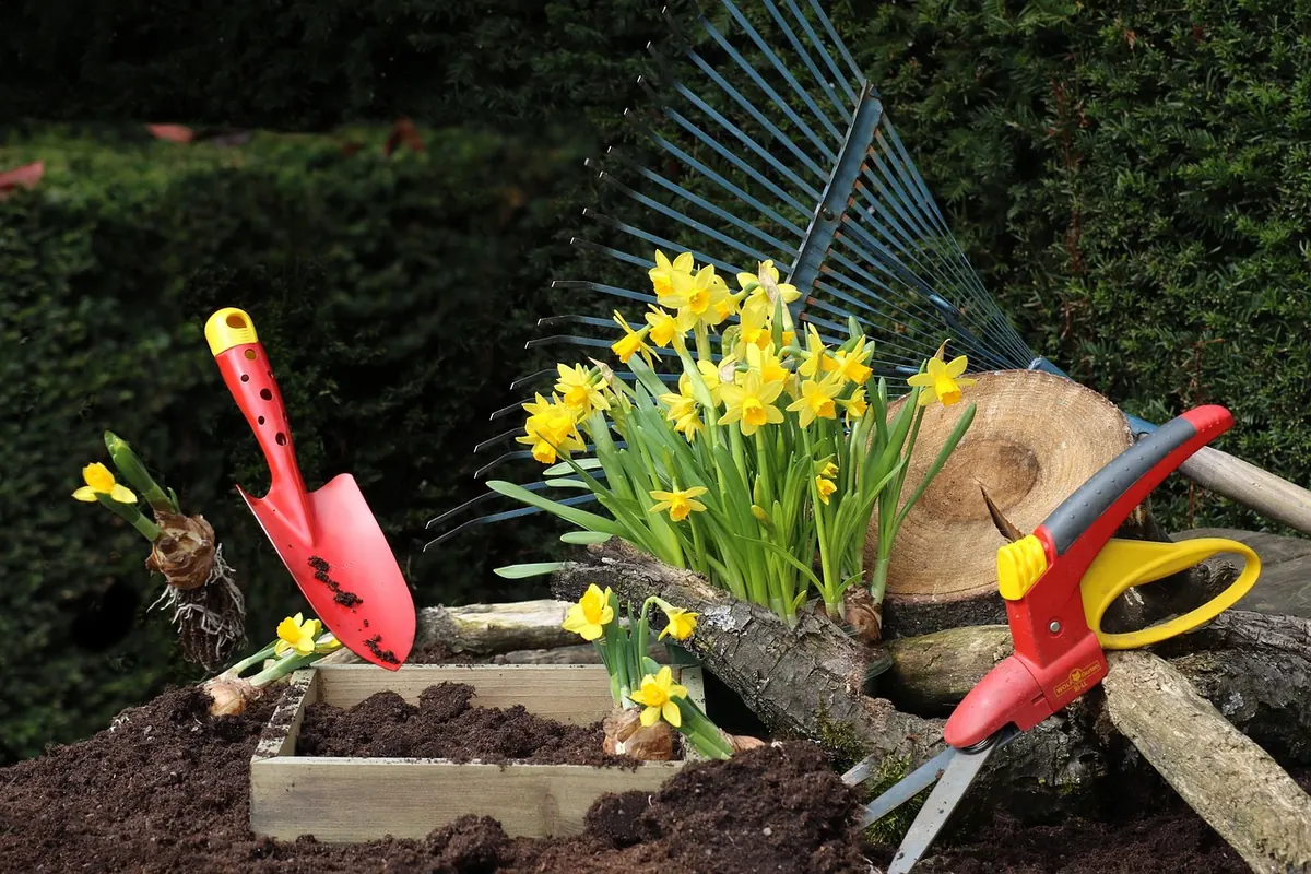 Tulip Planting Checklist: From Soil Prep to First Frost